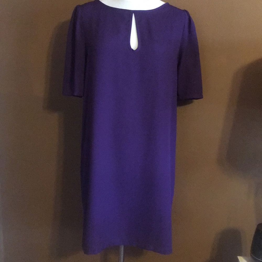 Beautiful GLAM brand dress in beautiful purple - Picture 1 of 7